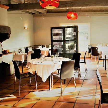 Hotel Western Le Canard Sur Le Toit Colomiers