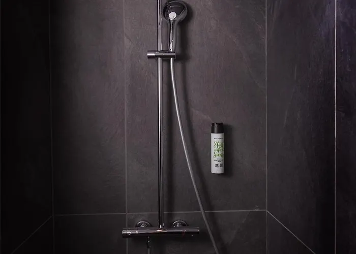 Hotel Western Le Canard Sur Le Toit