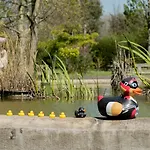 Hotel Western Le Canard Sur Le Toit Colomiers