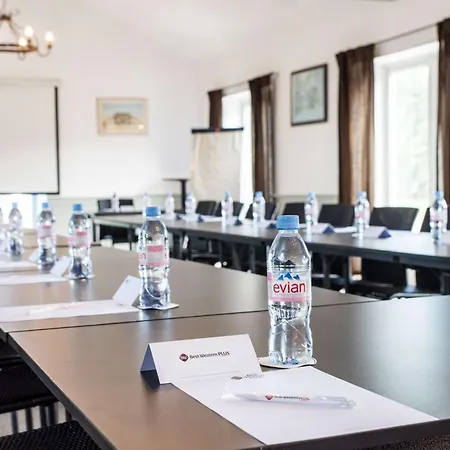 Western Le Canard Sur Le Toit