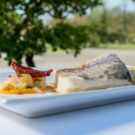 Western Le Canard Sur Le Toit