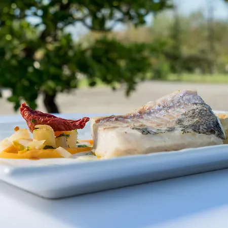 Western Le Canard Sur Le Toit